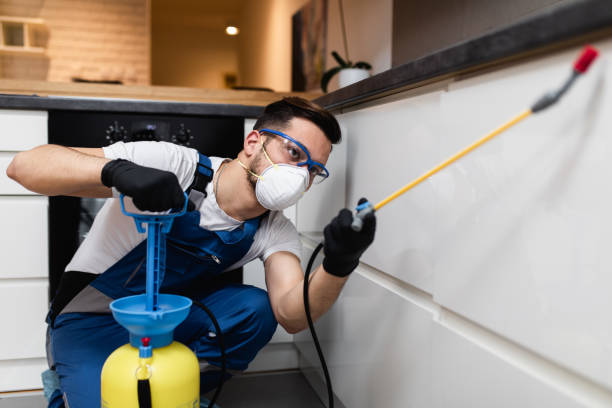 Best Pest Prevention Services  in Rogers City, MI