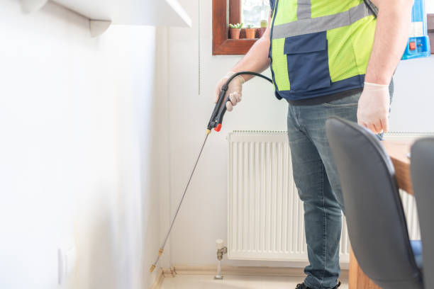 Best Rat Extermination Near Me  in Rogers City, MI