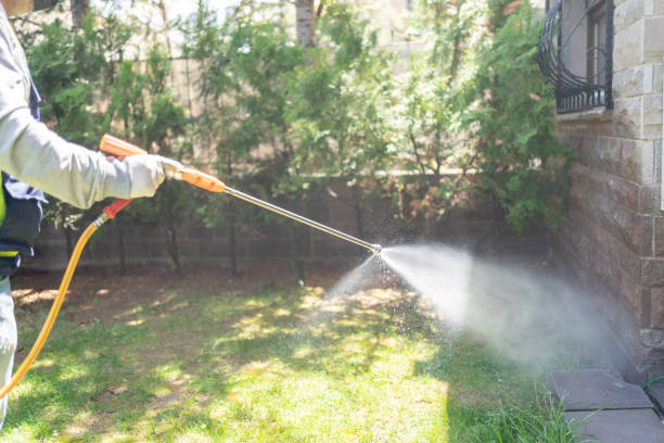 Best Termite Control Services  in Rogers City, MI