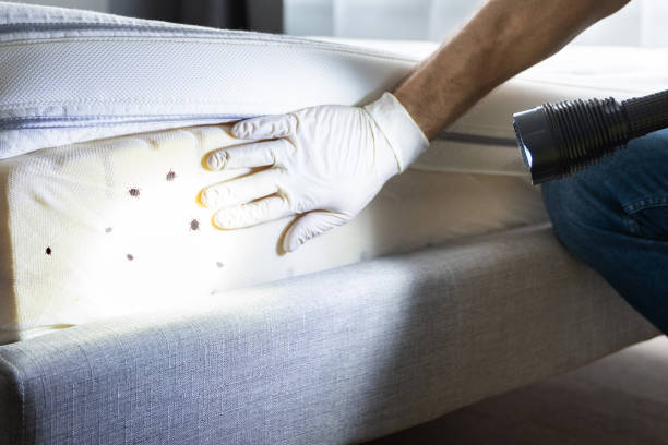 Best Wildlife Control Services  in Rogers City, MI