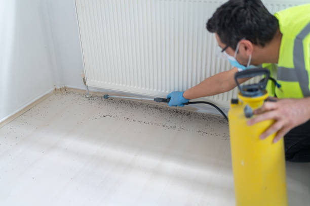 Pest Prevention Services in Rogers City, MI