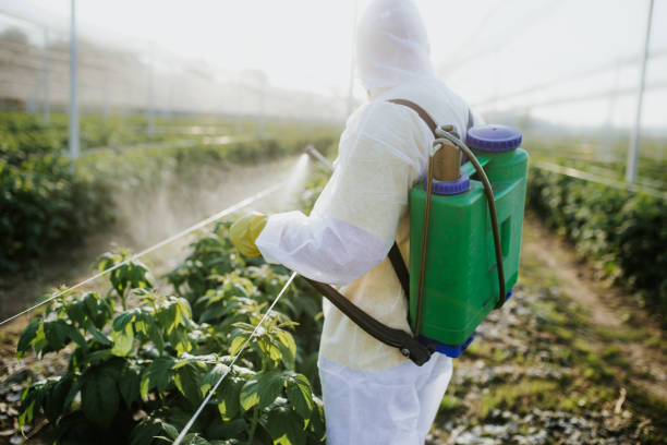 Pest Control Cost in Rogers City, MI